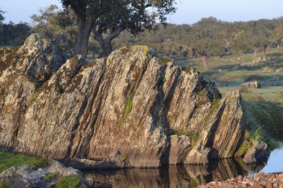 Casa Rural La Brena ξενώνας Talaván Εξωτερικό φωτογραφία