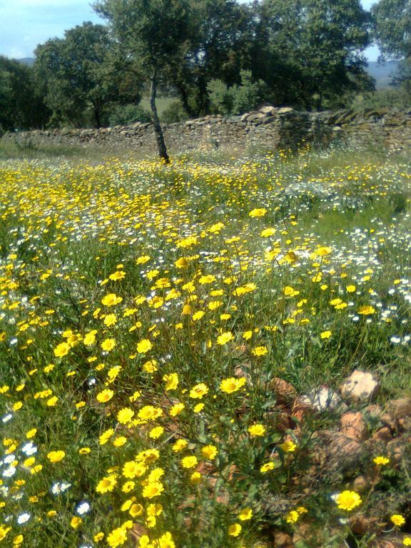 Casa Rural La Brena ξενώνας Talaván Εξωτερικό φωτογραφία