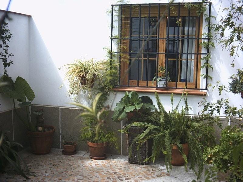 Casa Rural La Brena Talaván Εξωτερικό φωτογραφία