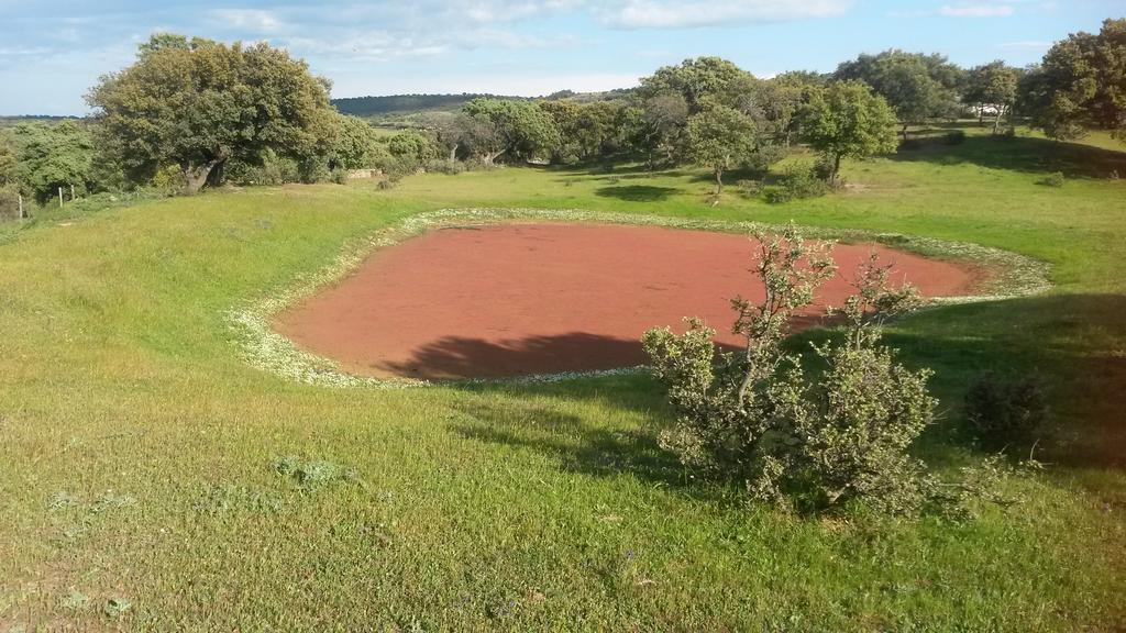 Casa Rural La Brena Talaván Εξωτερικό φωτογραφία